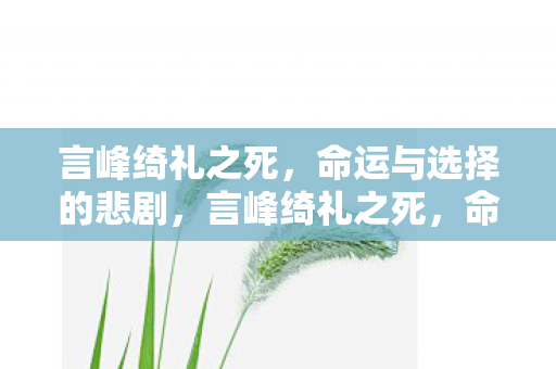 言峰绮礼之死,命运与选择的悲剧,言峰绮礼之死,命运与选择的悲剧 言峰绮礼之死,命运与选择的悲剧,言峰绮礼之死,命运与选择的悲剧