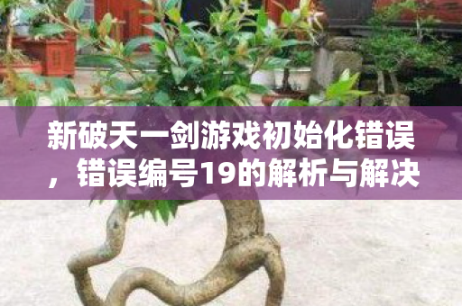 新破天一剑错误编号19解析与解决攻略图片