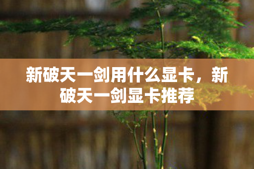 新破天一剑用什么显卡图片