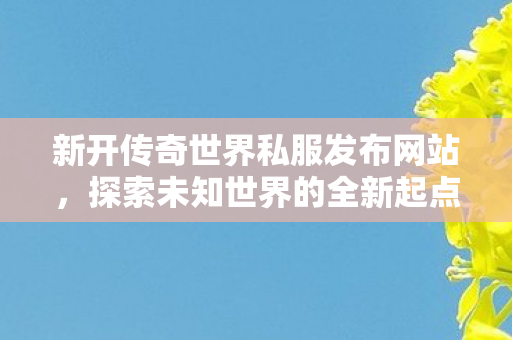 新开传奇世界私服发布网站图片