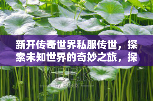 探索未知世界的奇妙之旅图片