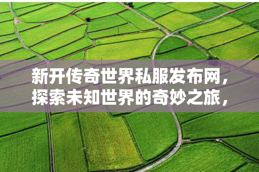 新开传奇世界私服发布网图片