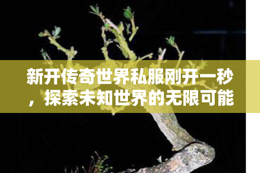 新开传奇世界私服刚开一秒图片
