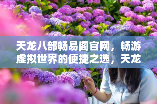 畅游虚拟世界的便捷之选图片