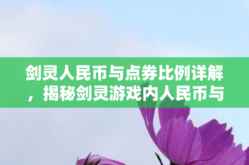 剑灵人民币与点券比例详解，揭秘剑灵游戏内人民币与点券兑换比例