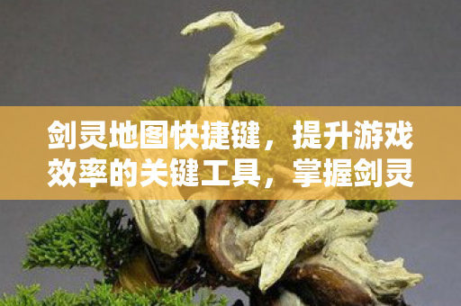 剑灵地图快捷键，提升游戏效率的关键工具，掌握剑灵地图快捷键，提升游戏效率不再是难题