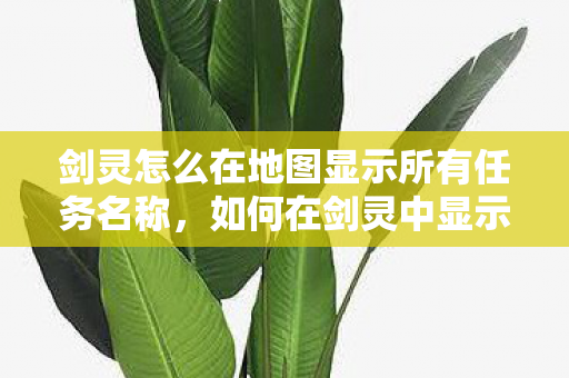 剑灵怎么在地图显示所有任务名称,如何在剑灵中显示所有任务名称 剑灵怎么在地图显示所有任务名称,如何在剑灵中显示所有任务名称