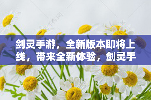 剑灵手游,全新版本即将上线,带来全新体验,剑灵手游全新版本即将上线,带来全新游戏体验 剑灵手游,全新版本即将上线,带来全新体验,剑灵手游全新版本即将上线,带来全新游戏体验