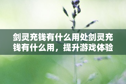 剑灵充钱有什么用处剑灵充钱有什么用,提升游戏体验与角色实力,剑灵充钱提升游戏体验与角色实力 剑灵充钱有什么用处剑灵充钱有什么用,提升游戏体验与角色实力,剑灵充钱提升游戏体验与角色实力