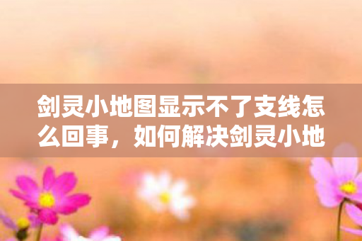 剑灵小地图显示不了支线怎么回事，如何解决剑灵小地图不显示支线的问题？