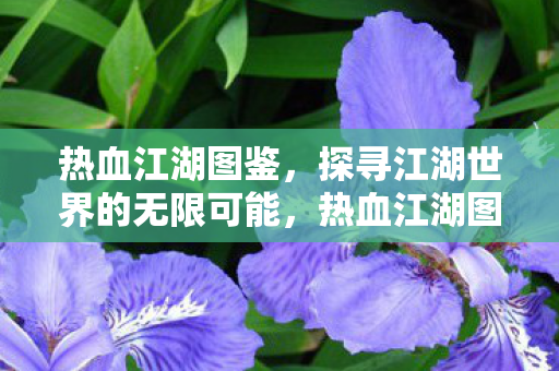 探寻江湖世界的无限可能图片