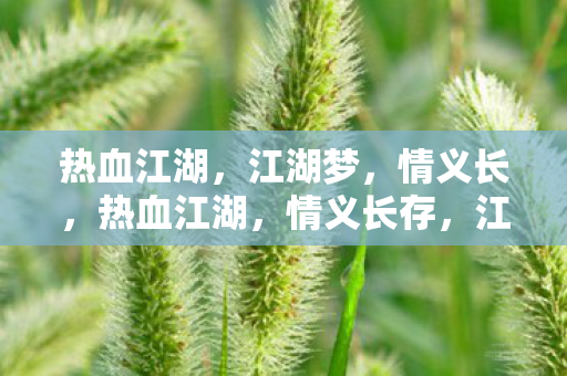 热血江湖，江湖梦，情义长，热血江湖，情义长存，江湖梦未醒