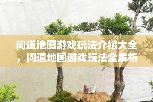 问道地图游戏玩法介绍大全图片