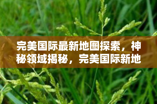 完美国际最新地图探索，神秘领域揭秘，完美国际新地图揭秘，探索神秘领域