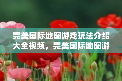 完美国际地图游戏玩法介绍大全视频图片