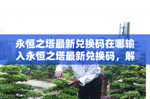 永恒之塔最新兑换码在哪输入永恒之塔最新兑换码图片