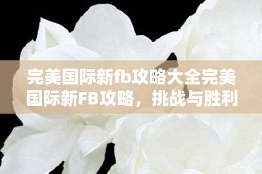 完美国际新fb攻略大全完美国际新FB攻略，挑战与胜利之路，完美国际新FB攻略，挑战与胜利之路