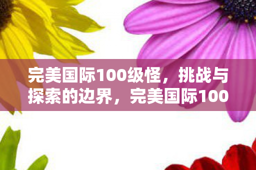 完美国际100级怪,挑战与探索的边界,完美国际100级怪,挑战与探索的边界 完美国际100级怪,挑战与探索的边界,完美国际100级怪,挑战与探索的边界