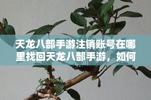 天龙八部手游注销账号在哪里找回天龙八部手游图片