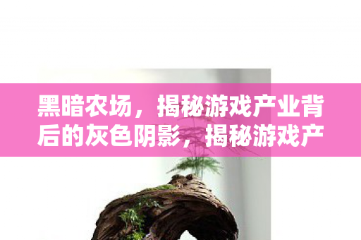黑暗农场，揭秘游戏产业背后的灰色阴影，揭秘游戏产业背后的灰色阴影，黑暗农场