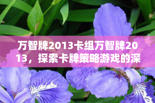 万智牌2013卡组万智牌2013，探索卡牌策略游戏的深度与魅力，万智牌2013，探索卡牌策略游戏的深度与魅力