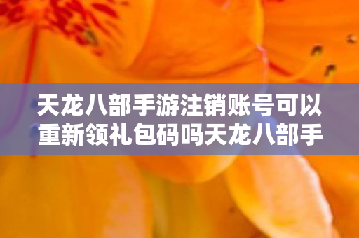 天龙八部手游注销账号可以重新领礼包码吗天龙八部手游图片