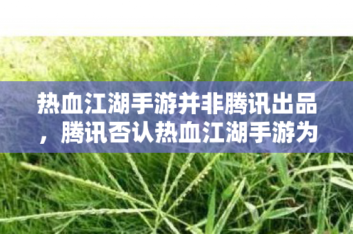 腾讯否认热血江湖手游为其出品图片