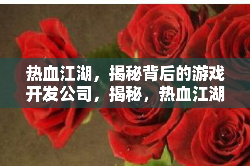 热血江湖,揭秘背后的游戏开发公司,揭秘,热血江湖背后的游戏开发公司 热血江湖,揭秘背后的游戏开发公司,揭秘,热血江湖背后的游戏开发公司