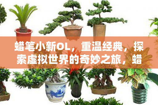蜡笔小新OL，重温经典，探索虚拟世界的奇妙之旅，蜡笔小新OL，重温经典，开启虚拟世界之旅