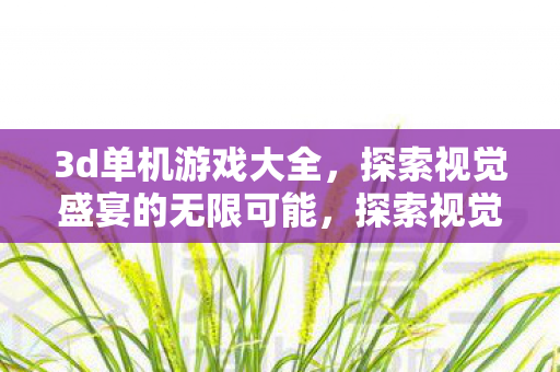 3d单机游戏大全，探索视觉盛宴的无限可能，探索视觉盛宴，3D单机游戏大全