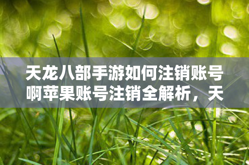 天龙八部手游如何注销账号啊苹果账号注销全解析，天龙八部手游的官方指南，天龙八部手游苹果账号注销全攻略，官方指南助你轻松注销