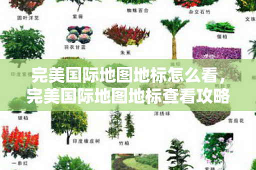 完美国际地图地标怎么看,完美国际地图地标查看攻略 完美国际地图地标怎么看,完美国际地图地标查看攻略