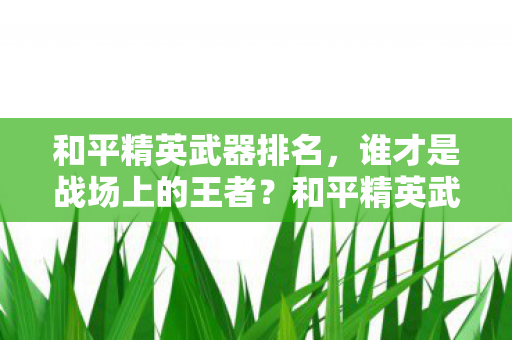 和平精英武器排名,谁才是战场上的王者?和平精英武器排名,谁才是战场上的王者? 和平精英武器排名,谁才是战场上的王者?和平精英武器排名,谁才是战场上的王者?