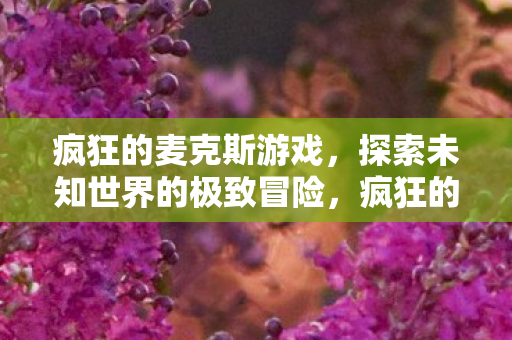 疯狂的麦克斯游戏，探索未知世界的极致冒险，疯狂的麦克斯游戏，探索未知世界的极致冒险