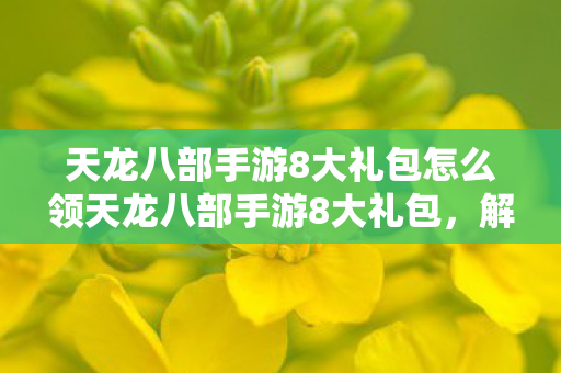 天龙八部手游8大礼包怎么领天龙八部手游8大礼包,解锁你的江湖之旅,解锁江湖之旅,领取天龙八部手游8大礼包 天龙八部手游8大礼包怎么领天龙八部手游8大礼包,解锁你的江湖之旅,解锁江湖之旅,领取天龙八部手游8大礼包
