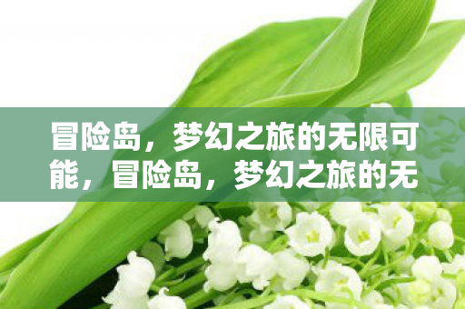 冒险岛，梦幻之旅的无限可能，冒险岛，梦幻之旅的无限可能