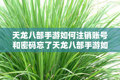 天龙八部手游如何注销账号和密码忘了天龙八部手游如何注销账号和密码图片