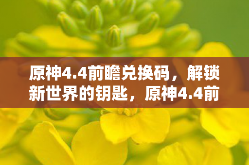 原神4.4前瞻兑换码，解锁新世界的钥匙，原神4.4前瞻，解锁新世界的兑换码