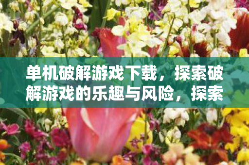 单机破解游戏下载，探索破解游戏的乐趣与风险，探索破解游戏乐趣与风险，单机破解游戏下载