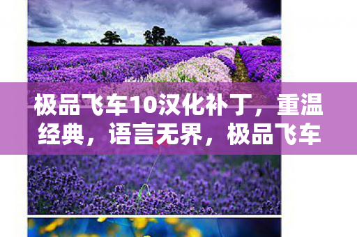 极品飞车10汉化补丁，重温经典，语言无界，极品飞车10汉化补丁，重温经典，语言无界