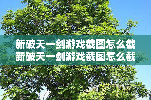 新破天一剑游戏截图怎么截新破天一剑游戏截图怎么截图片