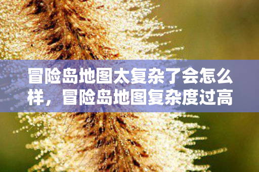 冒险岛地图复杂度过高可能导致的后果图片