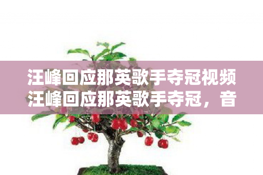 汪峰回应那英歌手夺冠视频汪峰回应那英歌手夺冠，音乐无界限，胜负皆精彩，汪峰回应那英夺冠，音乐无界限，胜负皆精彩