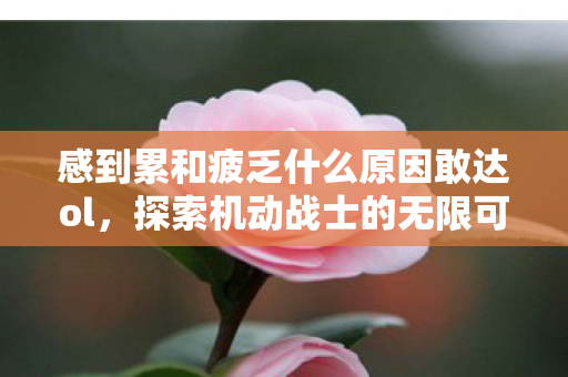 感到累和疲乏什么原因敢达ol，探索机动战士的无限可能，探索机动战士的无限可能，为何感到累和疲乏？