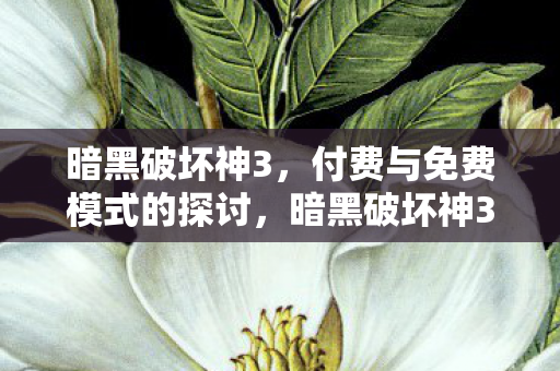 暗黑破坏神3，付费与免费模式的探讨，暗黑破坏神3，付费与免费模式对比