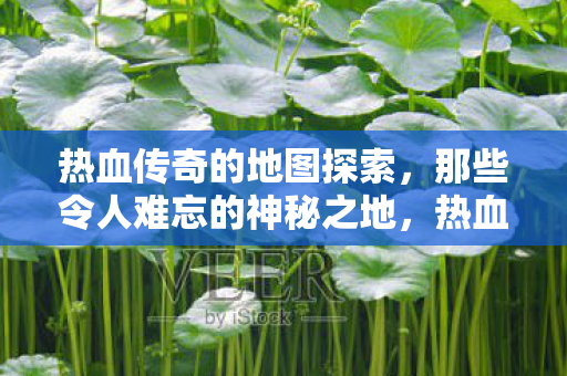 热血传奇的地图探索,那些令人难忘的神秘之地,热血传奇,探索神秘地图,揭秘令人难忘的传奇之地 热血传奇的地图探索,那些令人难忘的神秘之地,热血传奇,探索神秘地图,揭秘令人难忘的传奇之地