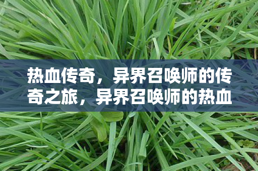 热血传奇，异界召唤师的传奇之旅，异界召唤师的热血传奇之旅