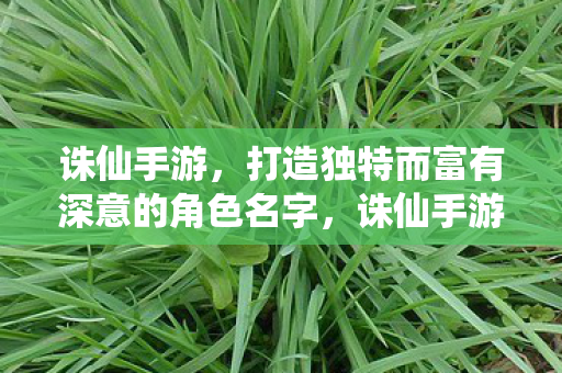 打造独特而富有深意的角色名字图片