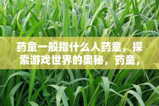 药童一般指什么人药童，探索游戏世界的奥秘，药童，探索游戏世界的奥秘