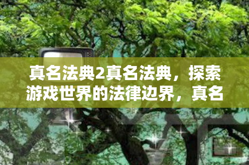 真名法典2真名法典，探索游戏世界的法律边界，真名法典2，探索游戏世界的法律边界